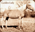 Golden Lady